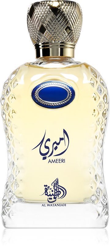Ameeri 240916 | Al Wataniah Ameeri