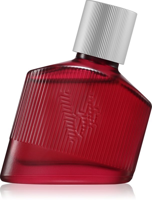 Loyal Man 211008 | Bruno Banani Loyal Man