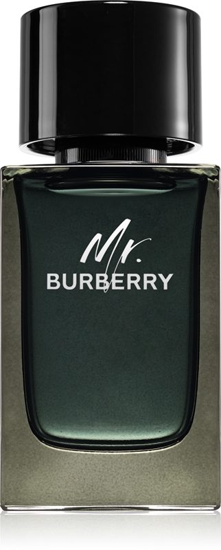 Mr Burberry 221004 | Burberry Mr. Burberry