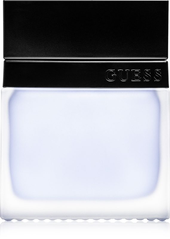 Seductive Homme 220411 | Guess Seductive Homme