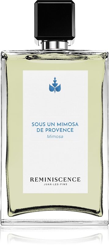 Sous Un Mimosa De Provence 240531 | Reminiscence Sous un Mimosa de Provence